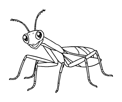 Praying Mantis Colouring Page (Kids, Bold & Easy)
