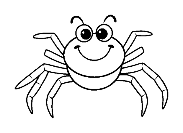 Spider colouring page — free printable for toddlers
