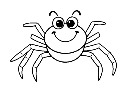 Spider Colouring Page (Toddler, Bold & Easy)