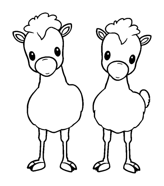 Bongo Pair colouring page — free printable for toddlers