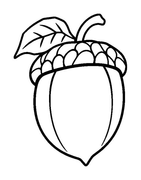 Acorn colouring page — free printable for kids