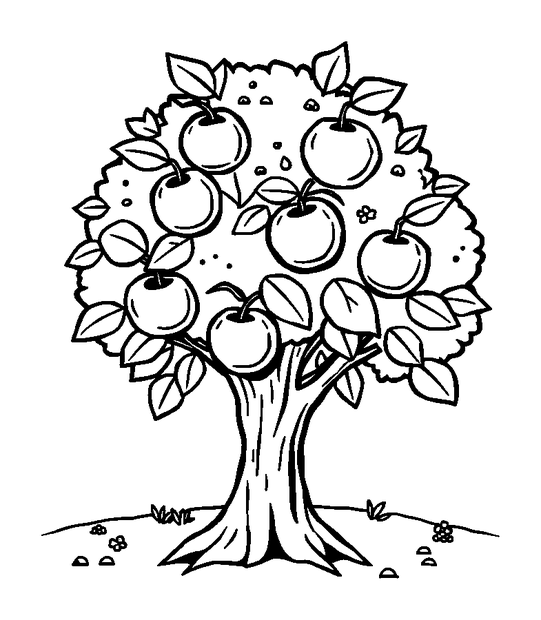 Apple Tree colouring page — free printable for kids