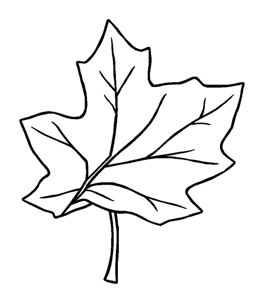Autumn Leaf colouring page — free printable for kids