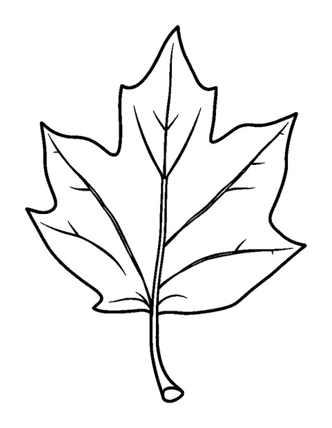 Autumn Leaf colouring page — free printable for toddlers