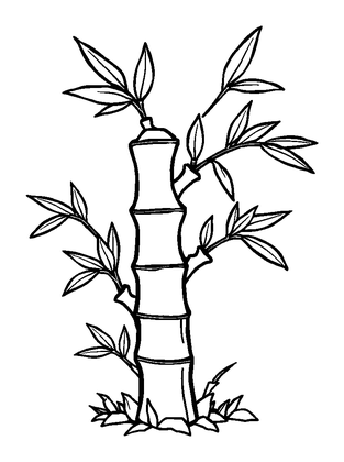 Bamboo Colouring Page (Kids, Standard)