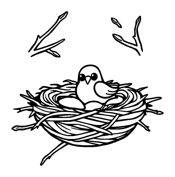 Birds Nest colouring page — free printable for kids