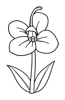 Bluebell Colouring Page (Kids, Bold & Easy)