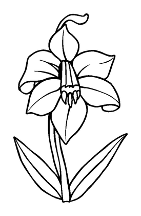 Bluebell Colouring Page (Kids, Standard)