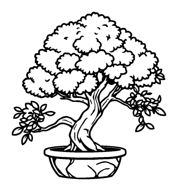 Bonsai Tree colouring page — free printable for kids