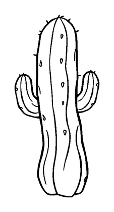 Cactus Colouring Page (Kids, Standard)