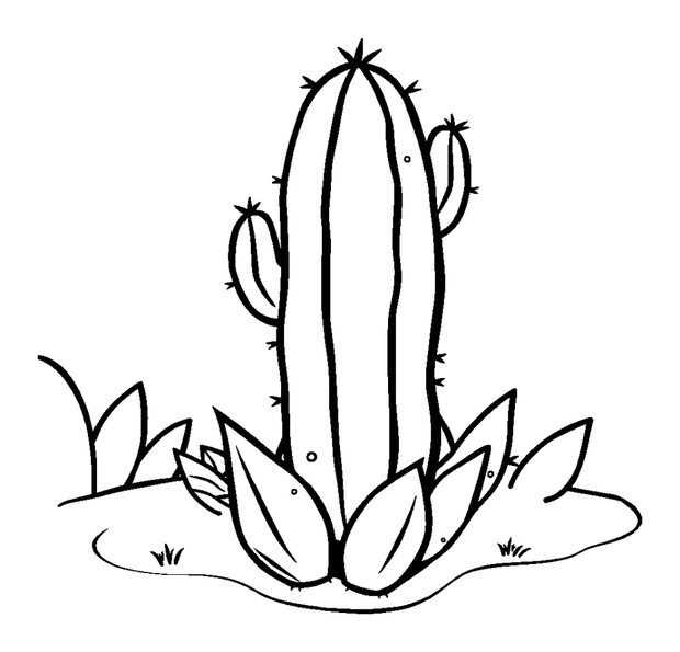 Cactus colouring page — free printable for toddlers
