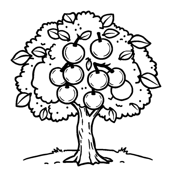 Cherry Tree colouring page — free printable for kids