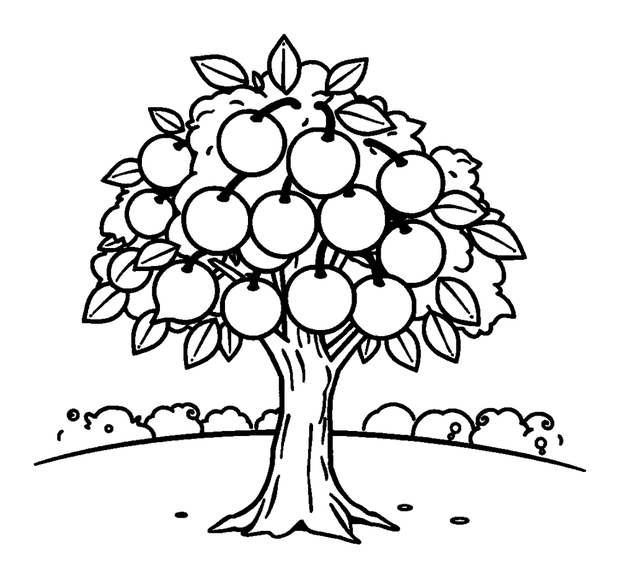 Cherry Tree colouring page — free printable for kids