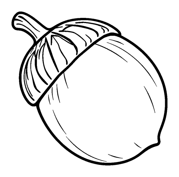 Conker Shell colouring page — free printable for toddlers