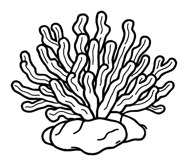 Coral colouring page — free printable for kids