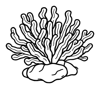 Coral Colouring Page (Kids, Bold & Easy)
