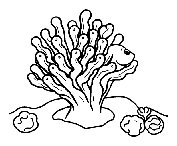 Coral colouring page — free printable for toddlers