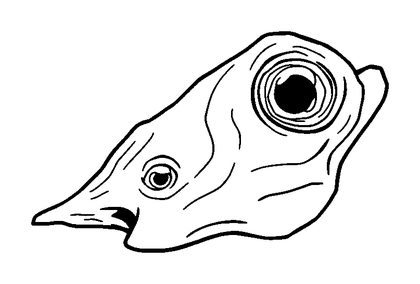 Driftwood Colouring Page (Toddler, Bold & Easy)