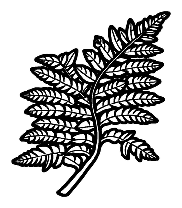Fern Colouring Page (Kids, Bold & Easy)