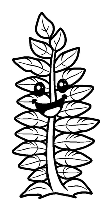 Fern Colouring Page (Kids, Standard)