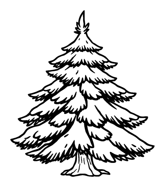 Fir Tree colouring page — free printable for kids