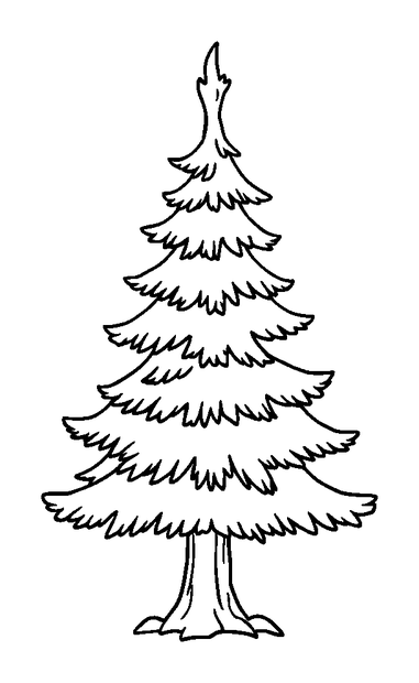 Fir Tree colouring page — free printable for toddlers
