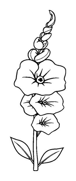 Foxglove colouring page — free printable for kids