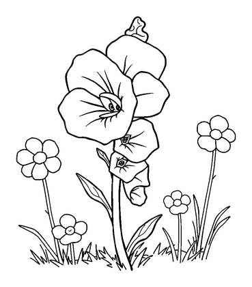 Foxglove Colouring Page (Toddler, Bold & Easy)