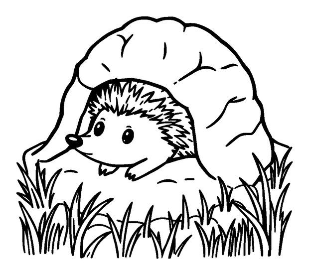 Hedgehog Burrow colouring page — free printable for kids