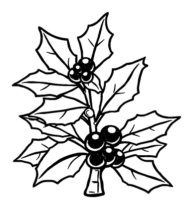 Holly Colouring Page (Kids, Standard)