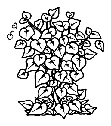 Ivy Colouring Page (Kids, Standard)