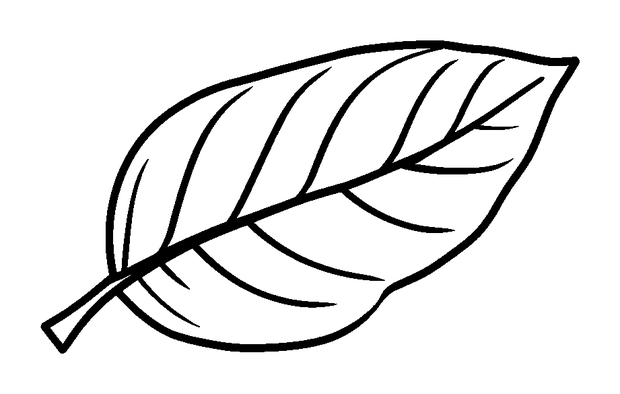 Leaf colouring page — free printable for kids