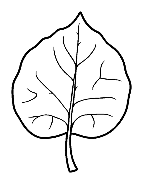 Leaf colouring page — free printable for kids