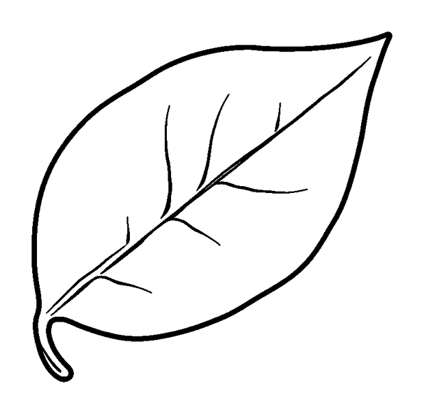 Leaf colouring page — free printable for toddlers