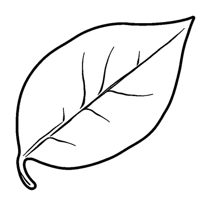 Leaf Colouring Page (Toddler, Bold & Easy)