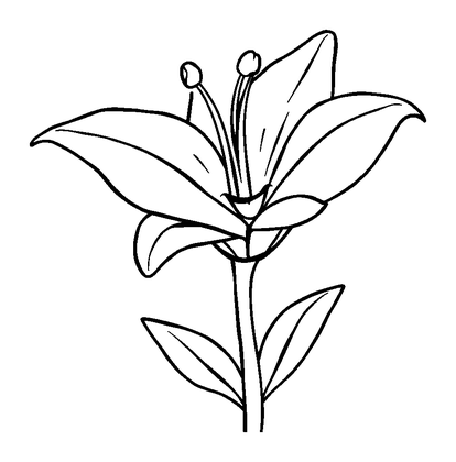 Lily Colouring Page (Toddler, Bold & Easy)