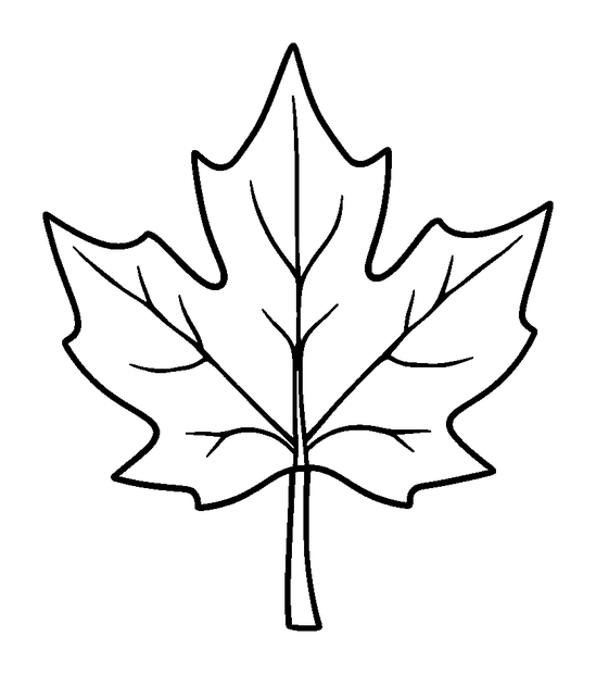 Maple Leaf colouring page — free printable for kids