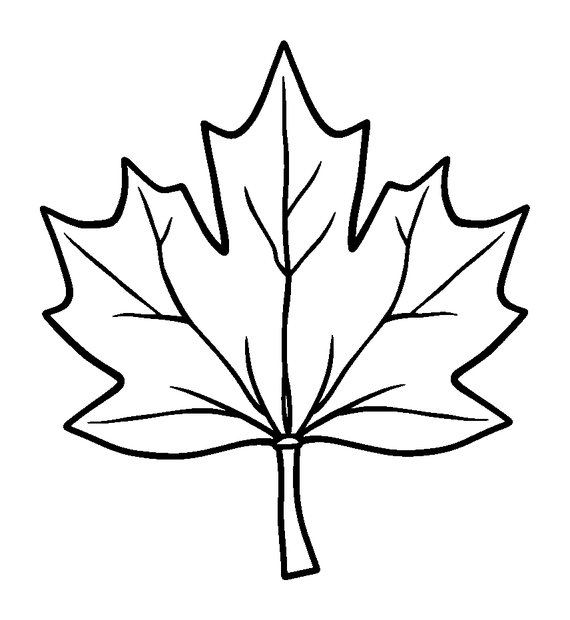 Maple Leaf colouring page — free printable for kids