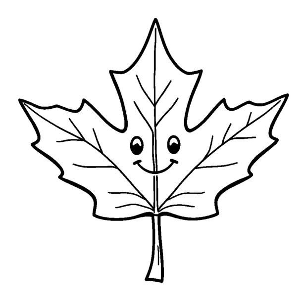 Maple Leaf colouring page — free printable for toddlers