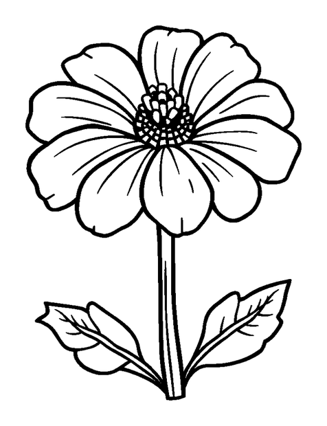 Marigold colouring page — free printable for kids