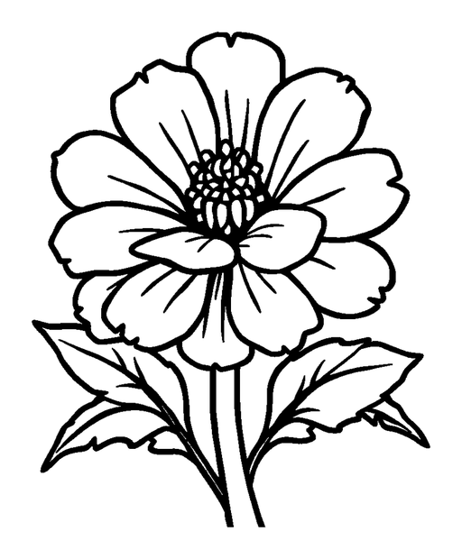 Marigold colouring page — free printable for kids