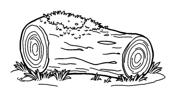 Mossy Log colouring page — free printable for toddlers