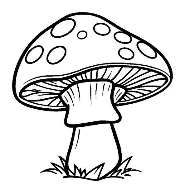 Mushroom colouring page — free printable for kids