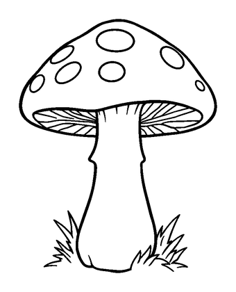 Mushroom Colouring Page (Toddler, Bold & Easy)
