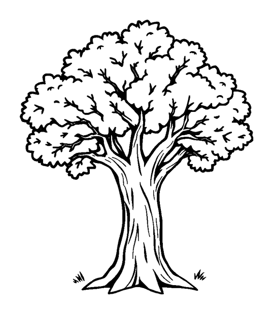 Oak Tree colouring page — free printable for kids