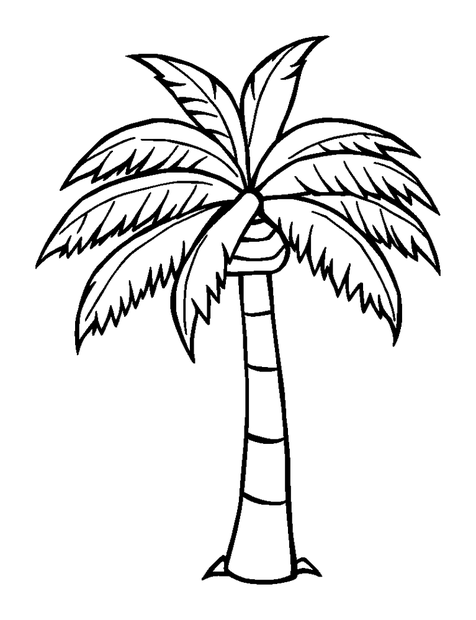 Palm Tree colouring page — free printable for kids