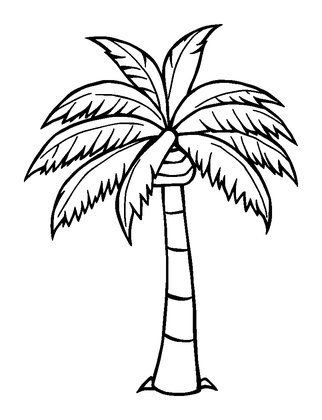 Palm Tree Colouring Page (Kids, Bold & Easy)