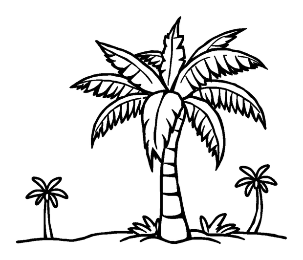 Palm Tree colouring page — free printable for toddlers