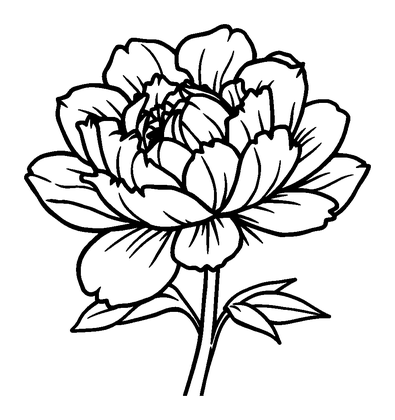Peony Colouring Page (Kids, Bold & Easy)