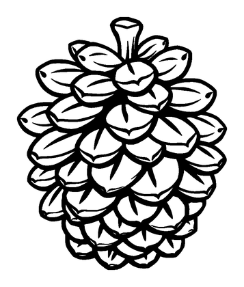 Pine Cone Colouring Page (Kids, Bold & Easy)